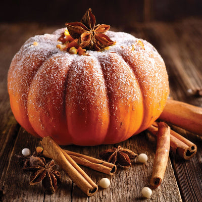Frosted Pumpkin Wax Melt Snap Bar