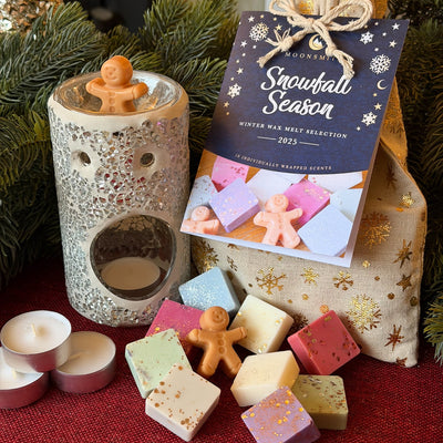 Christmas Melts Bag & Burner & Tealights