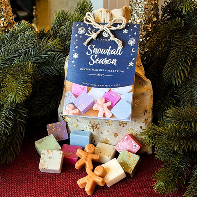 Christmas Melts Bag & Burner & Tealights