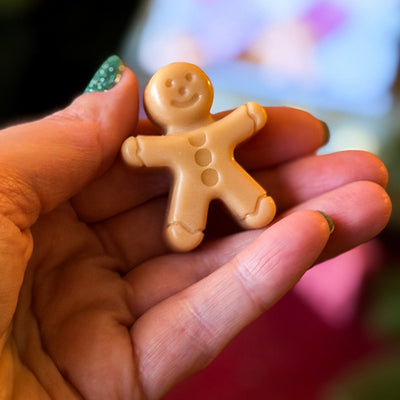 Snowfall Season 2025 - 10 scent Wax Melt Collection Bag