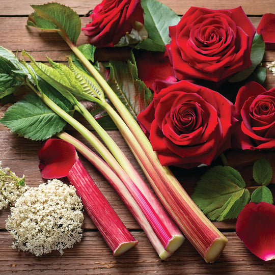 Rhubarb &amp; Rose Wax Melt Snap Bar